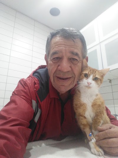 Photos of Animalistan Veteriner Klinigi