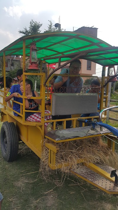Photos of Tiger Lily Petting farm