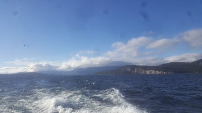 Photos of Bahia Protegida