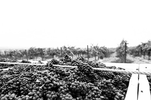 KORi Wines