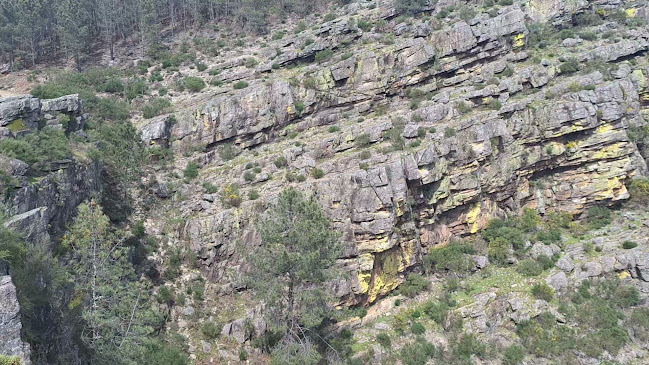 Miradouro das Fisgas de Ermelo Horário de abertura
