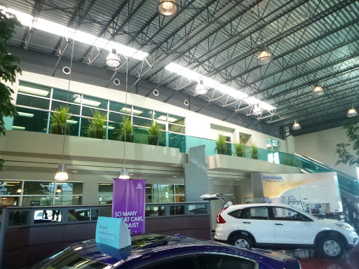 Thurston Honda - Thumbnail