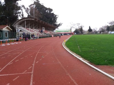 Photos of Estadio Municipal Alberto Larraguibel