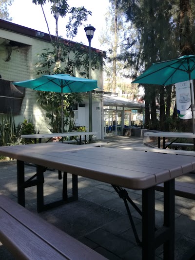 Photos of Faculty of Humanities at the Universidad Veracruzana