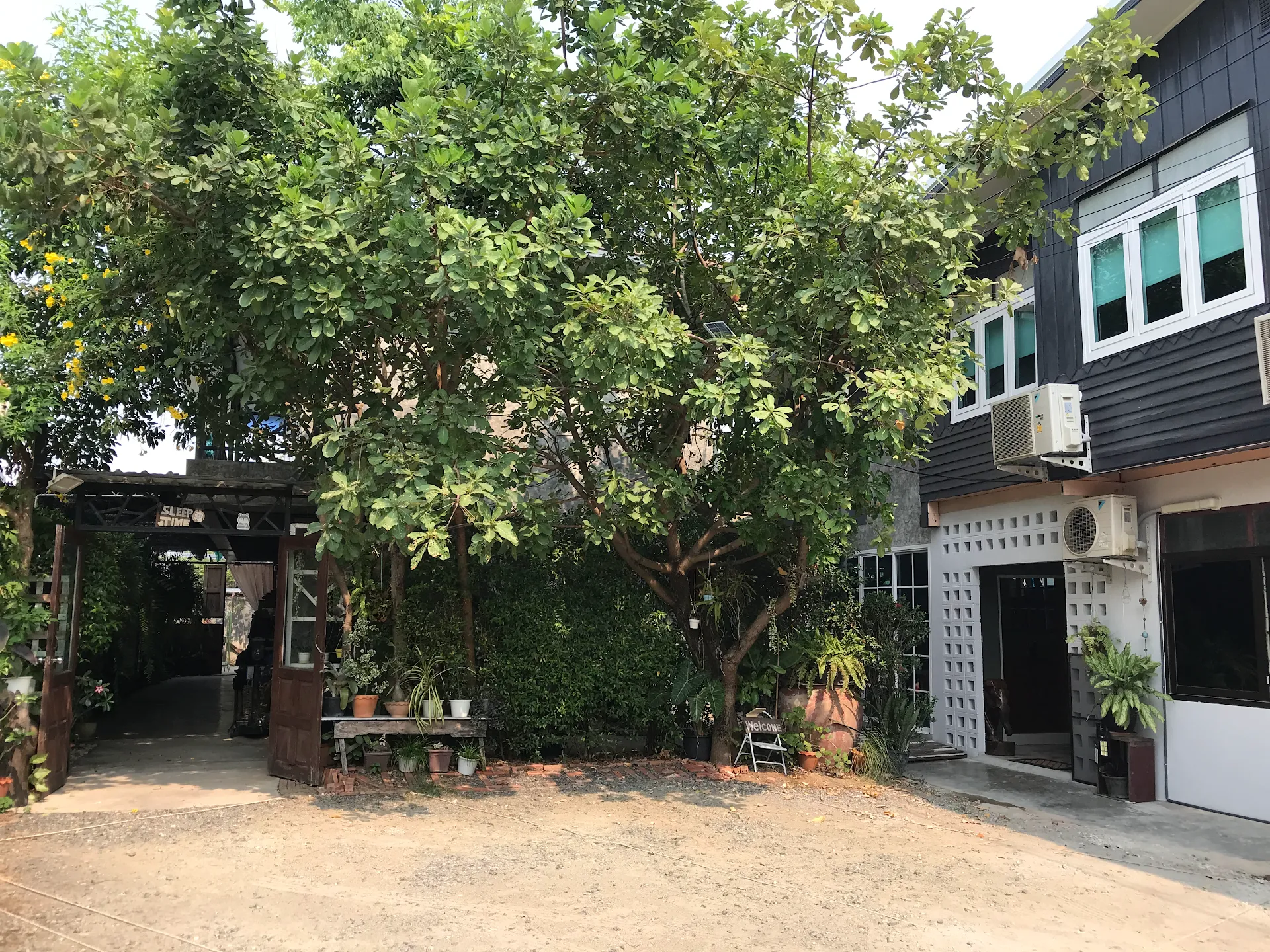 เวลานอน Sleep Time
