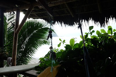 Photos of La Jungla Tropical Bungalows