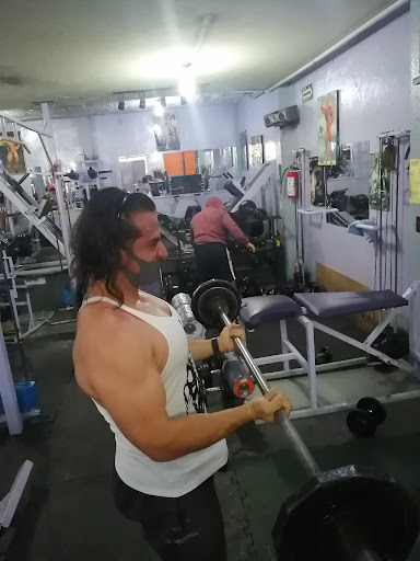 Gimnasio Olimpia Jardines De Morelos - Thumbnail