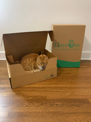 Litter One - Visual