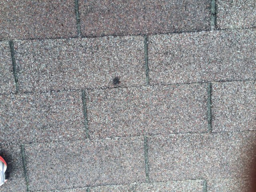 Roof Guyz - Thumbnail