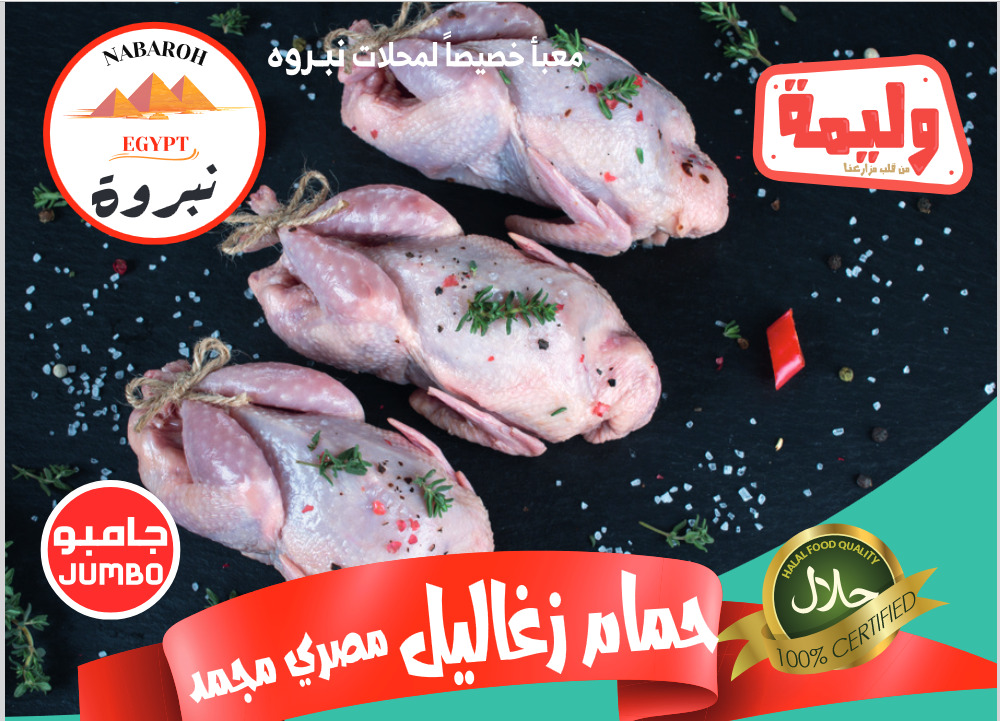 نبروة فرع الفجيرة - صورة 2