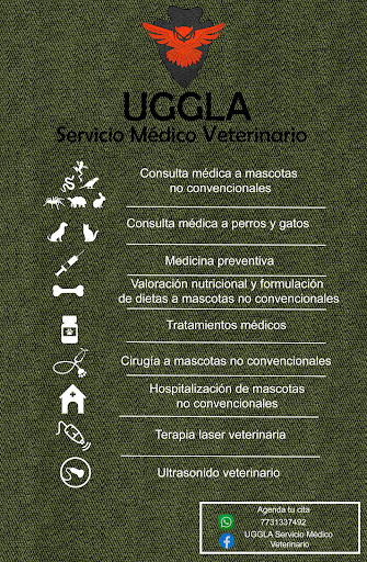 UGGLA Servicio médico veterinario