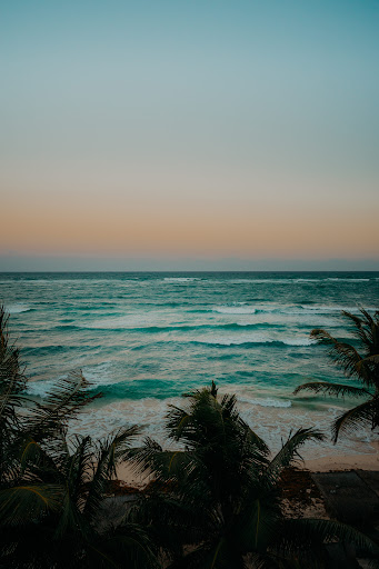 Papaya Playa Project Rooftop