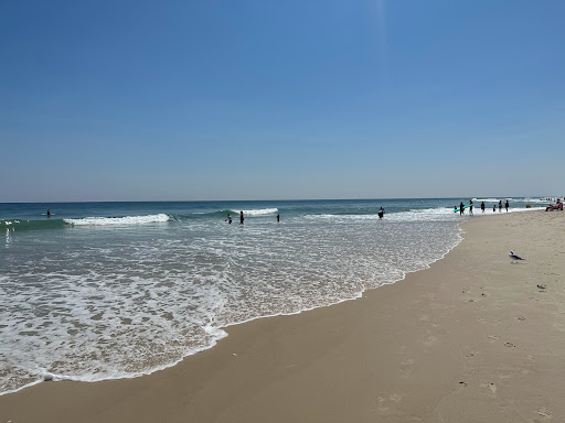 Assateague State Park Youth Group Campsites - Thumbnail