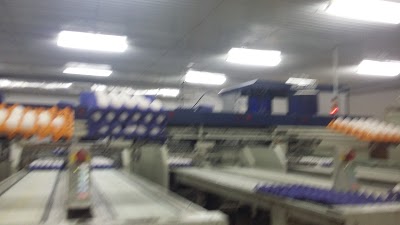 Photos of Alwaheeb farm مزرعة الوهيب
