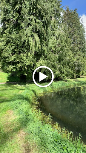 Photo de Vallée de Pratmeur à Quistinic (56310)