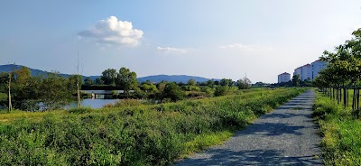 Parco dei Laghetti di Falchera