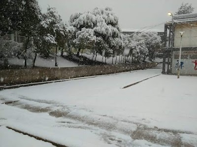 Photos of Cem Aboud Kheitar