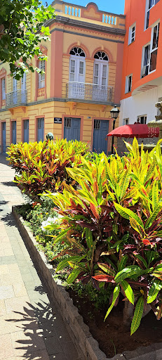 Plaza de Simon Guadalupe - Thumbnail