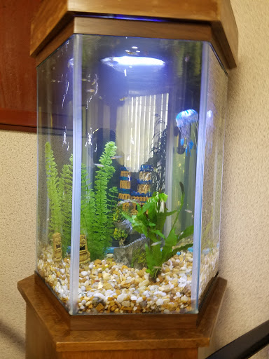 AquaKeepers - Visual