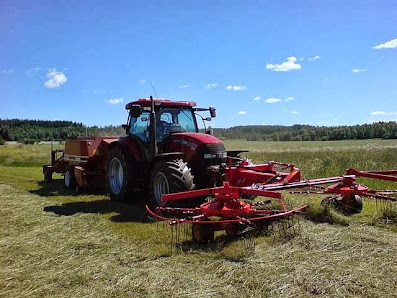 Danilsgården 774 97 Fors, Sverige