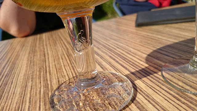 In de zon