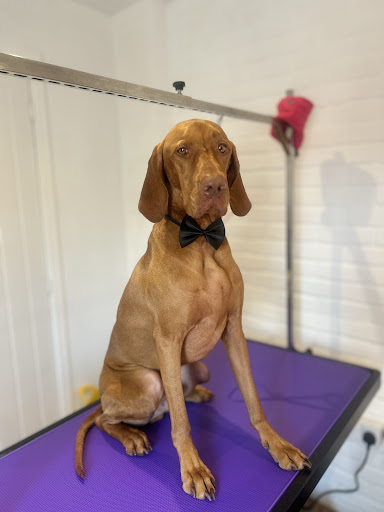 The Groom Room @ Berryfields
