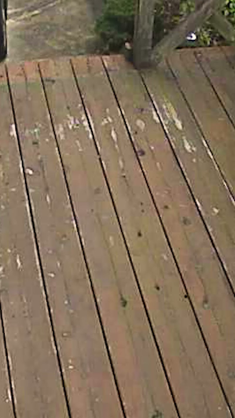 山根木材リモデリング株式会社