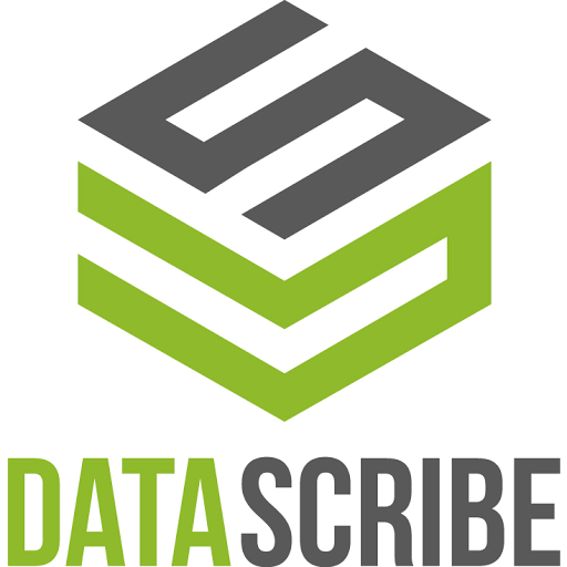 Data Scribe Solutions - Visual