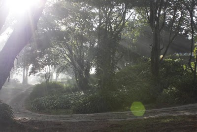 Photos of Pousada Dona Marica