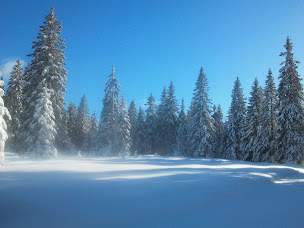 Photo n°33 de Location vacances Mouthe - Chambres d'hôtes - Gîtes du petit sarrageois à Sarrageois (Gîte)
