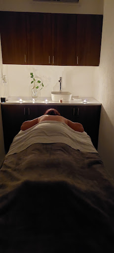 IVE Cosmetología Integral