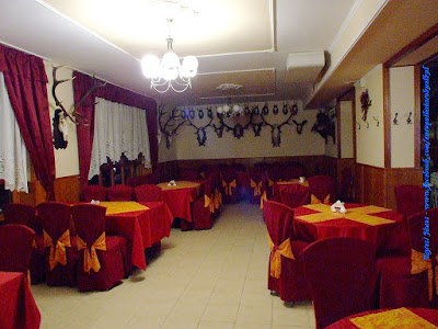 Photos of Fűzfa Holiday Resort