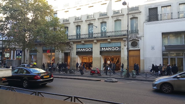 Mango