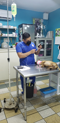 My Vet Animal Care