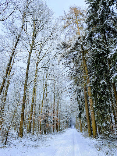 Englen G'häu - Germany