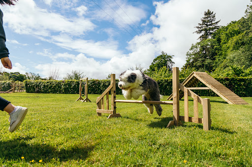 The Bark Park at Montalto