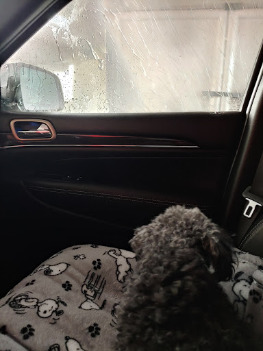 Sam's Club Touchless Car Wash Gallery - United States