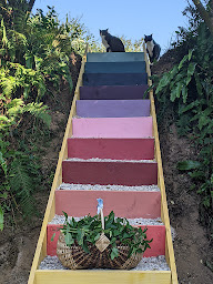 Photo n°4 de La Micro Ferme des 1000 couleurs à Héauville (Ferme bio)