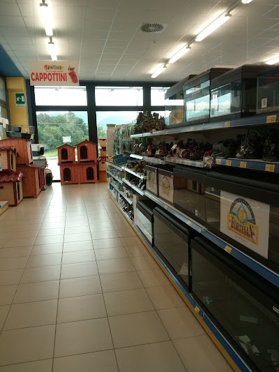 Store Fortesan Pinerolo