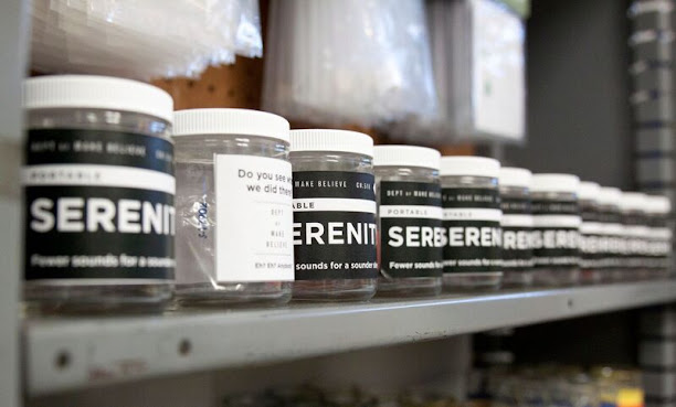 Chapter 510 & the Dept. of Make / Believe by null