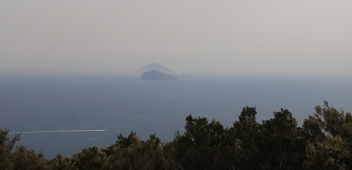 Alta Pecora - Visual