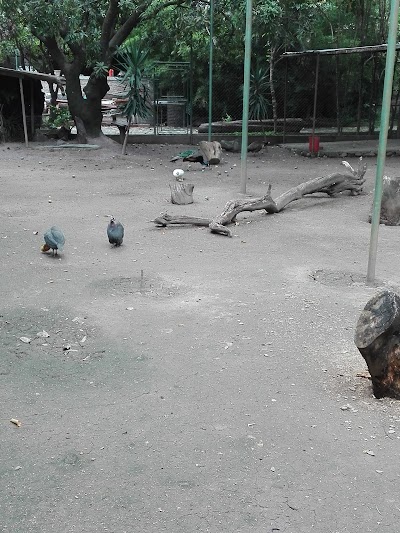 park