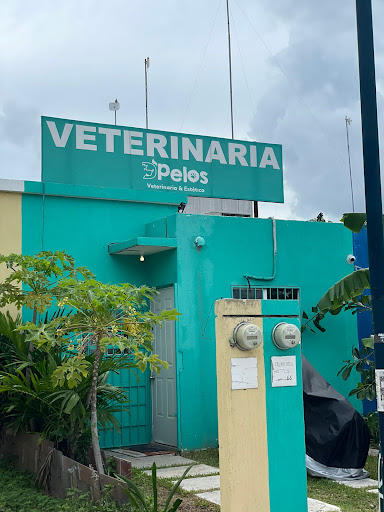 D´Pelos Veterinaria