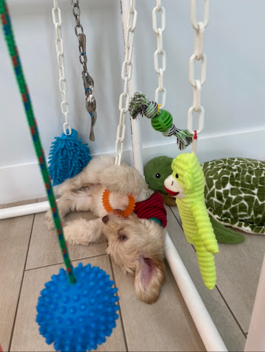 Happy Habitats Pet Shop