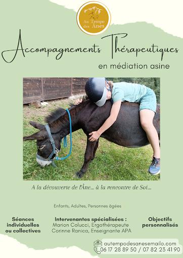 Au Tempo des Ânes - médiation animale - Thumbnail