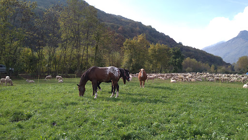 Parco di Luserna San Giovanni - Thumbnail