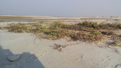Photos of dream beach(sopner baluchar)