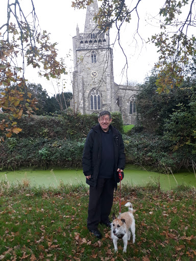 All Saints Kingston Seymour Church - Thumbnail