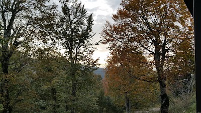 Photos of Geyik Alanı Tepesi