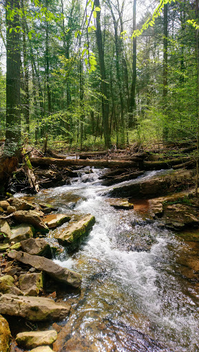 Tuscarora State Forest - Thumbnail
